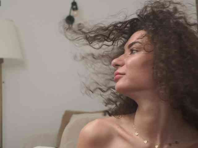 Adisson-fox Adisson-fox