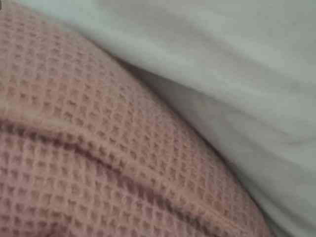 Adisson-fox Adisson-fox