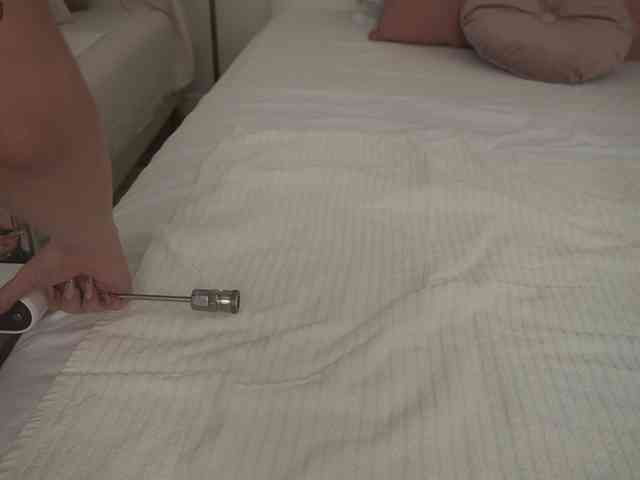 Adisson-fox Adisson-fox