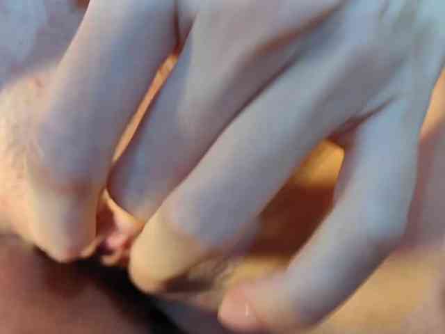 GoldSexHub GoldSexHub