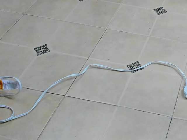 playsgirlhot from BongaCams is Freechat