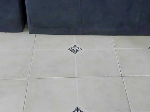 playsgirlhot – webcam model profile photo