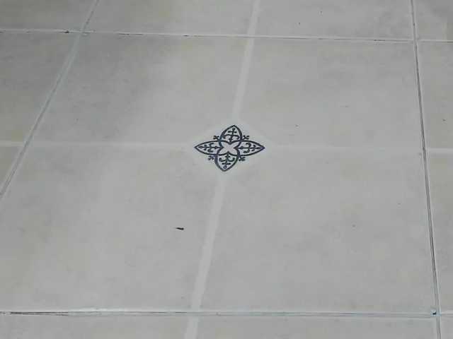 playsgirlhot's BongaCams show and profile