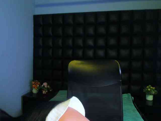 Ashleymontenegro webcam