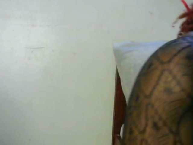 candychic's BongaCams show and profile