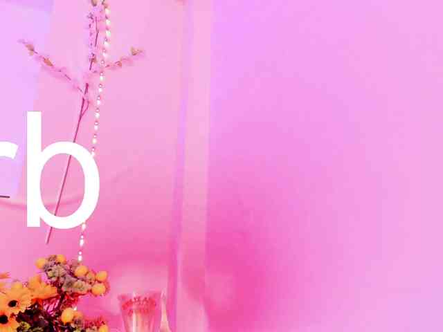 Saamii-robertss01 webcam