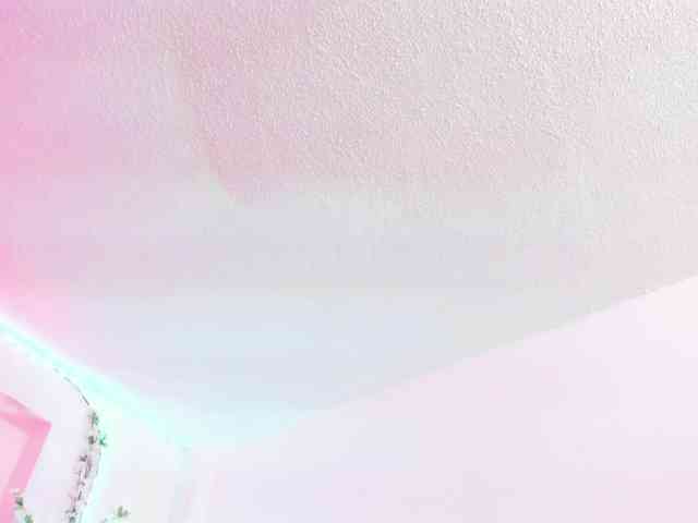 Saamii-robertss01 webcam