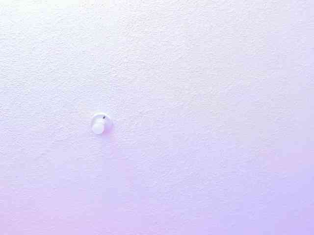 Saamii-robertss01 webcam