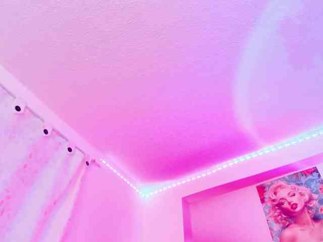 Saamii-robertss01 webcam