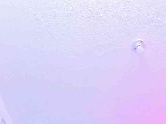 Saamii-robertss01 webcam