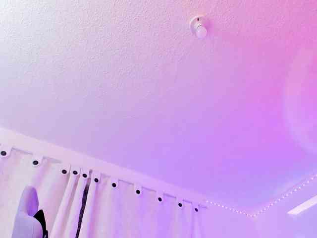 Saamii-robertss01 webcam