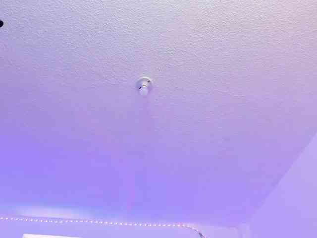 Saamii-robertss01 webcam