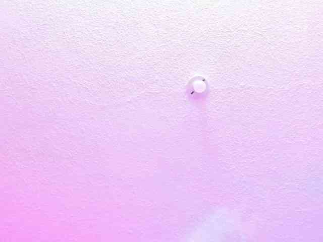 Saamii-robertss01 webcam