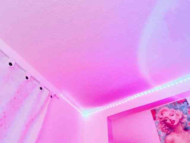 Saamii-robertss01 webcam