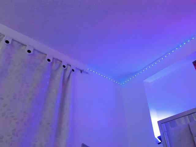 Saamii-robertss01 webcam