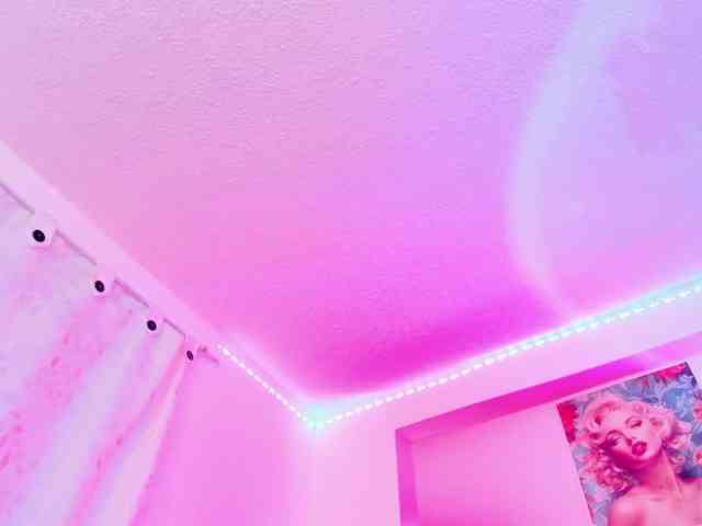 Saamii-robertss01 webcam