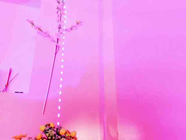 Saamii-robertss01 webcam