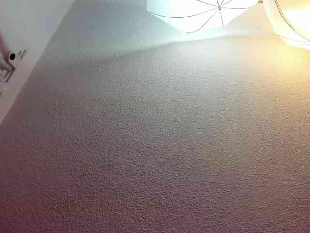 Saamii-robertss01 webcam