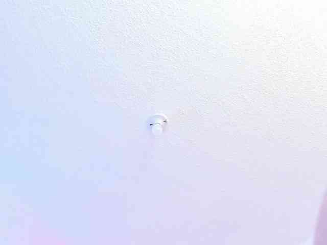 Saamii-robertss01 Saamii-robertss01