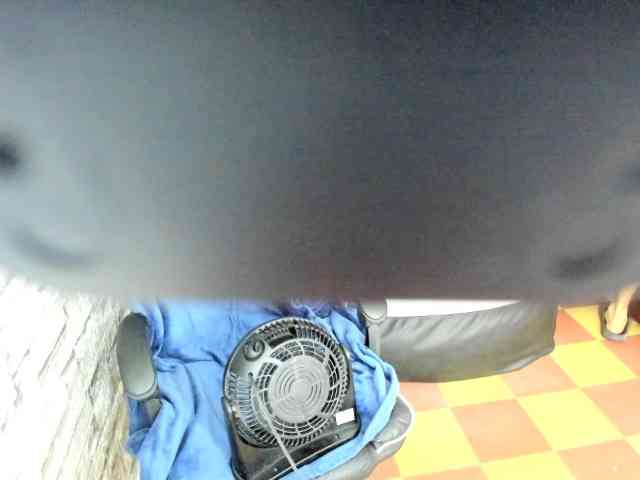 jay-orange jay-orange