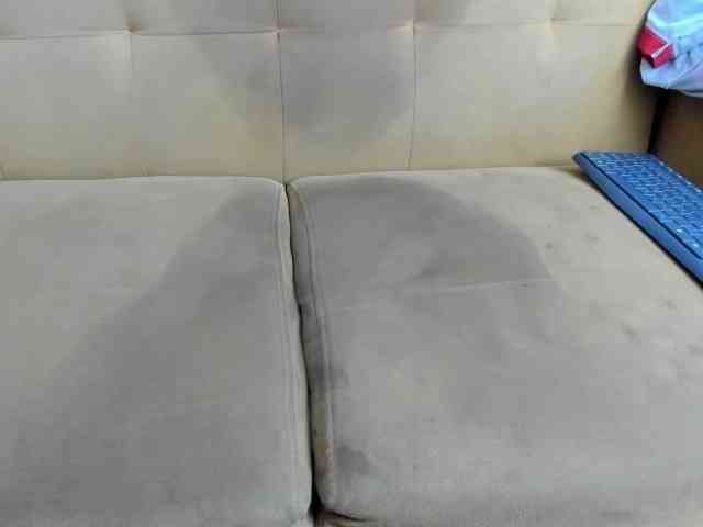 jay-orange jay-orange