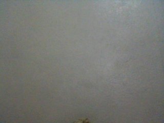 Carennehot2 Porn Show