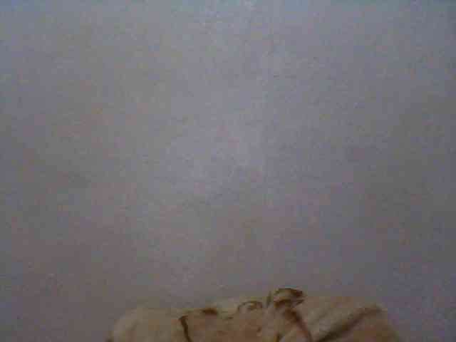 Carennehot2 Carennehot2