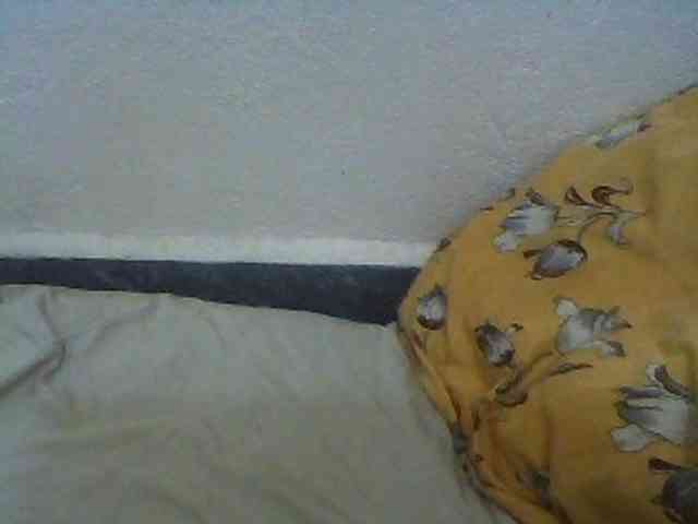 Carennehot2 Carennehot2