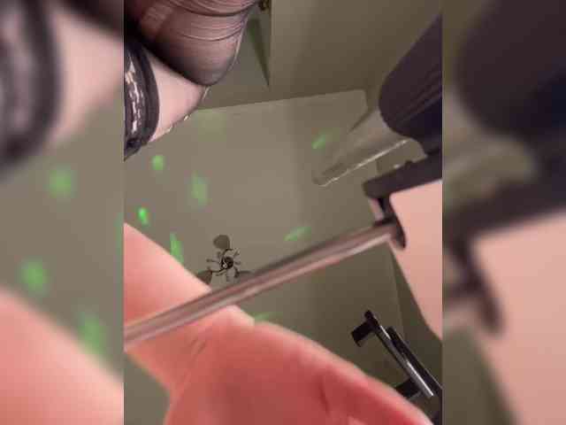 BonnyMyriam BonnyMyriam