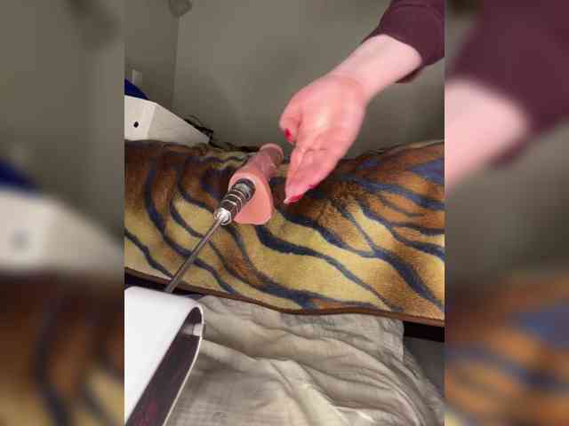 BonnyMyriam BonnyMyriam