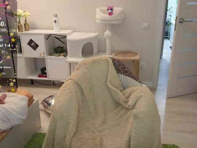 GingerSnapDoll webcam