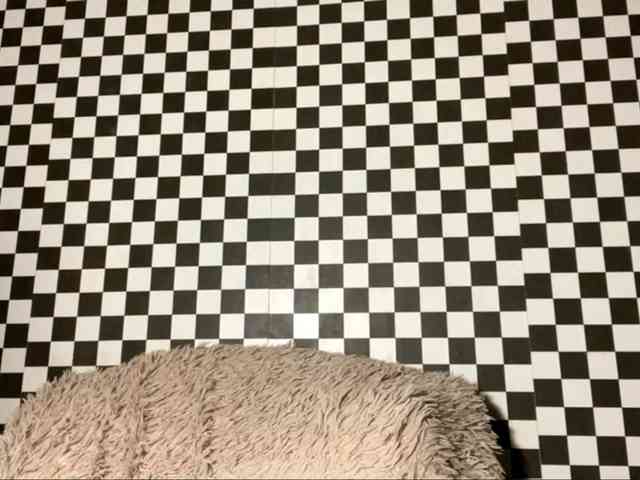 DeloisLavelle webcam