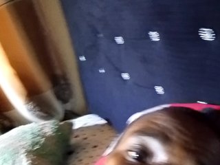 NigerianPusyAndCock Porn Show