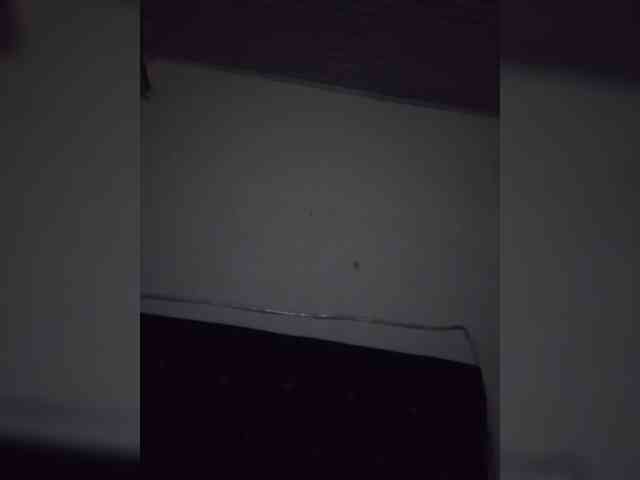 NigerianPusyAndCock webcam