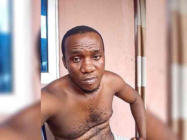 Faithfulfaith4447 Faithfulfaith4447