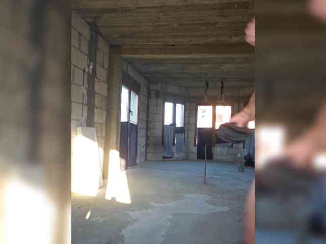 Mariusvidican Mariusvidican