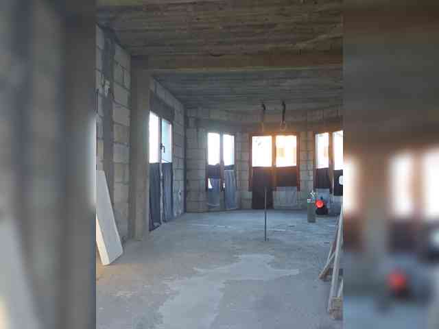 Mariusvidican Mariusvidican