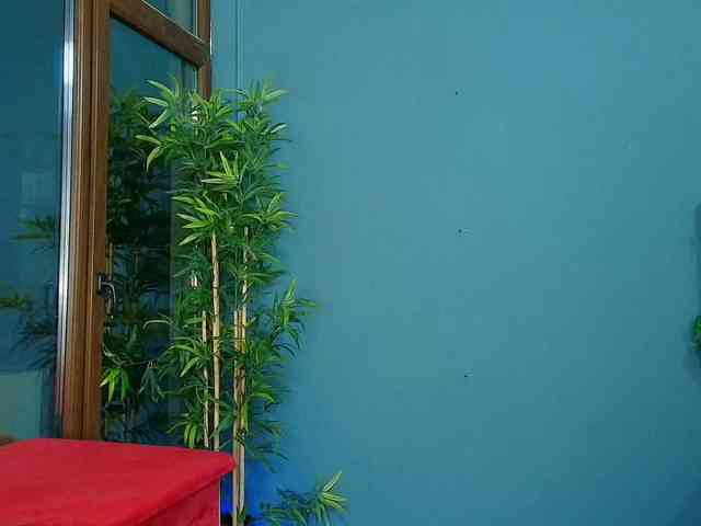 NikkyStyle NikkyStyle