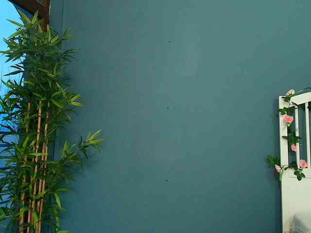 NikkyStyle NikkyStyle