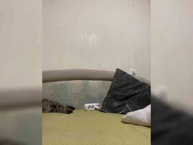 Sweetbitch2005 webcam