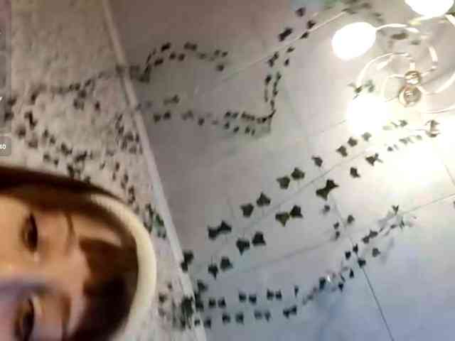 CreolaLaughman webcam