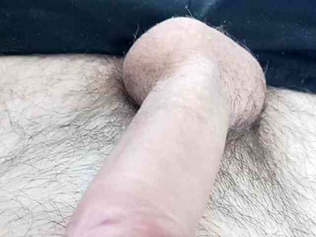 Serfedash123 Serfedash123