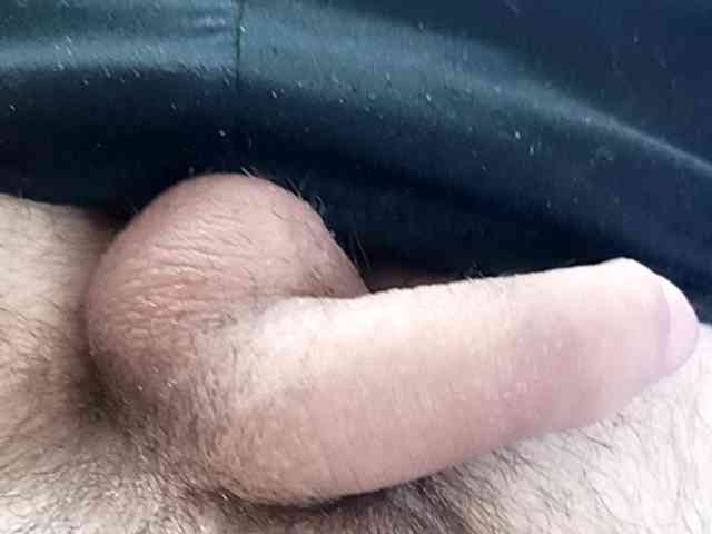 Serfedash123 Serfedash123