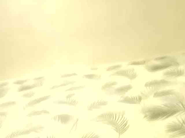 Serfedash123 Serfedash123