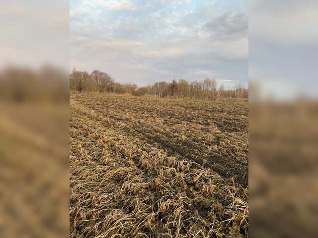 -DarinaXXX-'s BongaCams show and profile