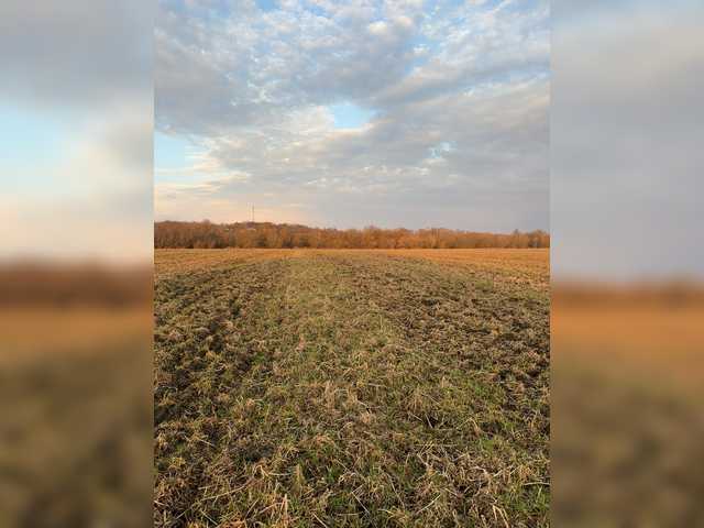 -DarinaXXX- на boncams