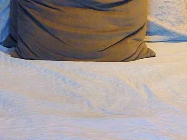 AmbarLorem AmbarLorem