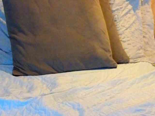 AmbarLorem AmbarLorem