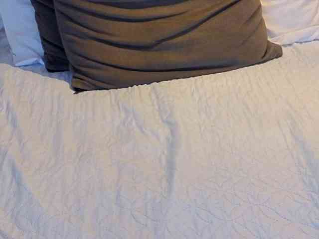 AmbarLorem AmbarLorem