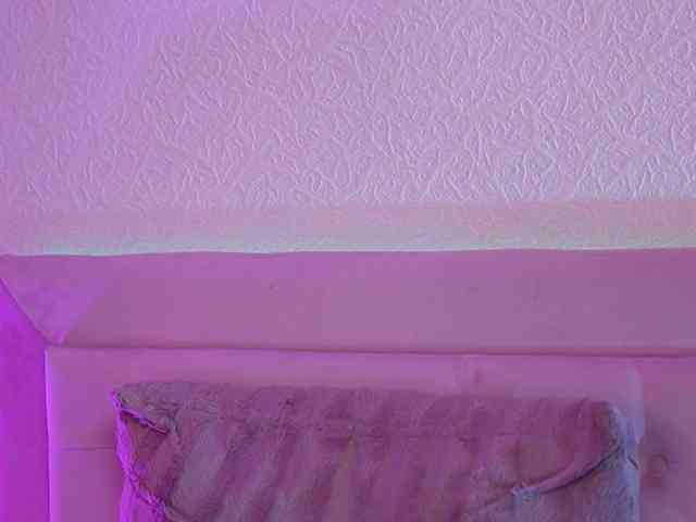 SophieVenus SophieVenus